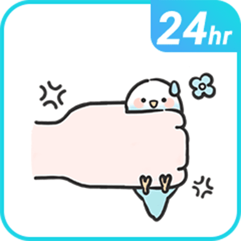 火爆小鸚鵡氣泡 24 小時